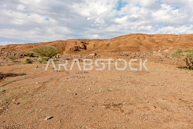 القمم والمرتفعات الجبلية، النباتات البرية في البيئة الصحراوية، التربة البركانية بالقرب من فوهة الوعبة في المملكة العربية السعودية، منظر السماء المليئة بالغيوم البيضاء