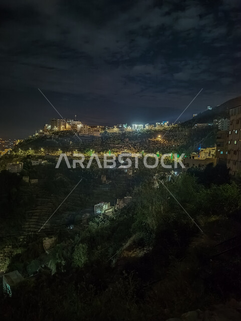 Houses and residential buildings illuminated at night in the Faifa Mountains, trees and green plants on the mountain slopes, landscapes and mountain highlands in the city of Jazan, tourist areas and attractions in the Kingdom of Saudi Arabia