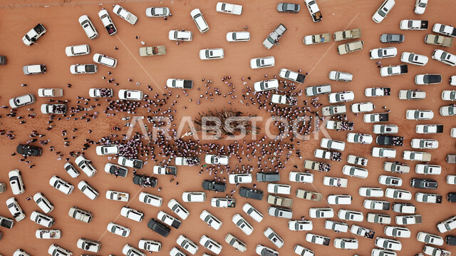 مسيرات الجمال في السباقات العربية الاصيلة، الانشطة الشعبية التراثية في صحاري السعودية، تطوير وتوفير البيئة المناسبة لسباق الهجن، صورة جوية من الأعلى لحشود الجمهور وازدحام السيارات في مهرجان الملك عبد العزيز لمتابعة تحركات الابل اثناء السباق