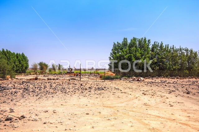 الاشجار والنباتات الخضراء، الاستمتاع بالمناظر الطبيعية في وقت النهار، منظر السماء الزرقاء في في حرة كشب في محافظة المويه بمكة المكرمة، أماكن النزهات والرحلات السياحية في المملكة العربية السعودية، المساحات و الأراضي الزراعية الواسعة