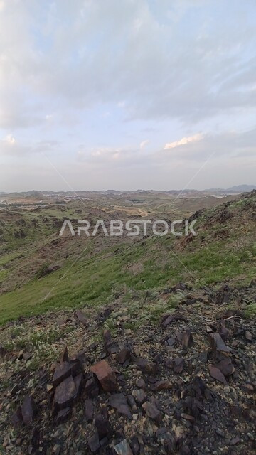 نمو النباتات والاعشاب البرية على القمم والمرتفعات، البيئة الصخرية والطبيعة الجبلية في مدينة جدة, اماكن ومناطق السياحة الطبيعية في المملكة العربية السعودية
