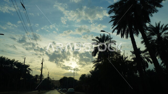 منظر السماء المليئة بالغيوم في وقت غروب الشمس، صورة ظليلية لأشجار النخيل والنباتات الخضراء في مدينة الاحساء، المناظر الطبيعية في المملكة العربية السعودية، مدن وأماكن سياحية