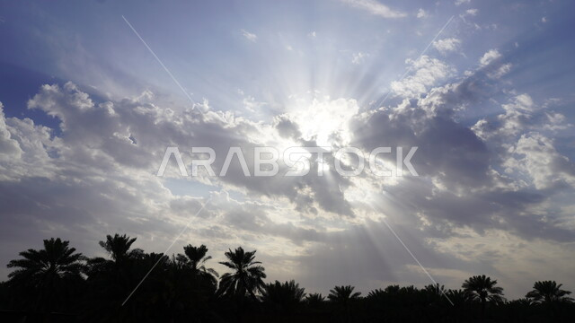 منظر السماء المليئة بالغيوم، صورة ظليلية للاشجار والنباتات الخضراء، الاهتمام بالزراعة والتشجير في محافظة الاحساء، المناظر الطبيعية في المملكة العربية السعودية