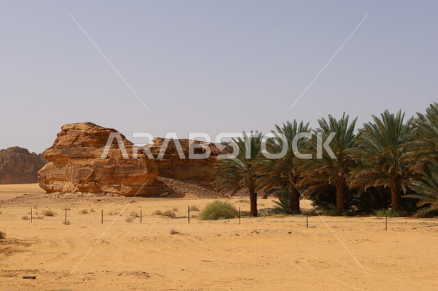 Green palm trees, ancient historical monuments, natural rock formations and formations in Al-Ula Governorate in the Kingdom of Saudi Arabia, desert natural areas, mountain peaks and heights.