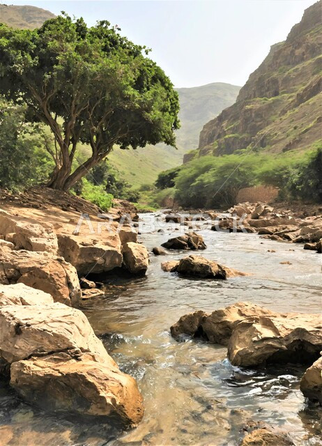 الاستمتاع بالمناظر الطبيعية للأشجار الخضراء على السفوح والمنحدرات الجبلية، المسطحات المائية  والوديان، عين رزات في ولاية صلالة في سلطنة عمان، مناطق سياحية للتنزه