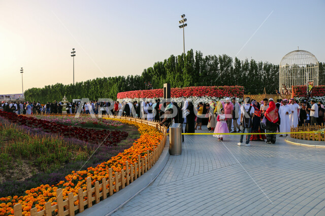 A family, environmental, cultural and entertainment destination, the colorful floral carpet at the Roses and Gardens Festival, environmental preservation and sustainable development, natural tourist exhibitions and festivals in the Kingdom of Saudi Arabia, decorations and designs in the event park in Yanbu Industrial City.