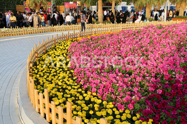 الحفاظ على البيئة والتنمية المستدامة، وجهه عائلية بيئية ثقافية وترفيهية، سجادة الأزهار الملونة في مهرجان الورود والحدائق، معارض ومهرجانات طبيعية سياحية في المملكة العربية السعودية، الديكورات والتصاميم في حديقة المناسبات بمدينة ينبع الصناعية