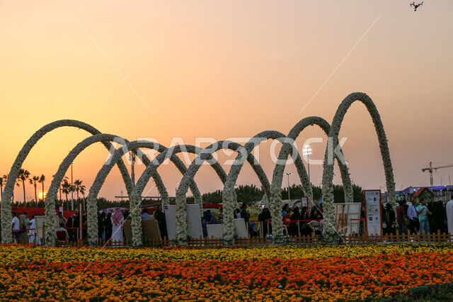 الحفاظ على البيئة والتنمية المستدامة، وجهه عائلية ثقافية وترفيهية، الديكورات والتصاميم في حديقة المناسبات بمدينة ينبع الصناعية، توافد الزوار والسائحين للاستمتاع بفعاليات مهرجان الزهور، معارض ومهرجانات طبيعية سياحية في المملكة العربية السعودية