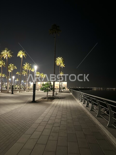 الاهتمام بزراعة أشجار النخيل في المنطقة الشرقية، كورنيش الخبر في مدينة الدمام في المملكة العربية السعودية ليلا، الطرق والشوارع المعبدة، مناطق جذب واستقطاب السائحين، الاماكن والمعالم السياحية المشهورة