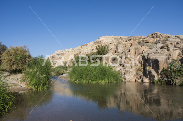 البحيرات المائية بين الجبال الصخرية في مدينة الطائف, نمو الأشجار والنباتات البرية في الصحراء، الهضاب والمرتفعات على أطراف النهر، أماكن طبيعية في المملكة العربية السعودية، الطبيعة الجبلية في المناطق الصحراوية