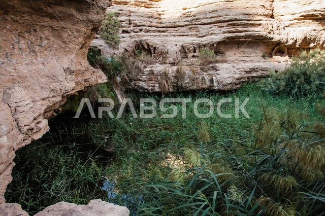 The main pool in Wadi Shuaib in Loha, a natural permanent freshwater pool, rocks, terrain, formations and rock formations in the desert of Riyadh, famous ancient historical archaeological sites in Saudi Arabia, green wild plants in the desert nature