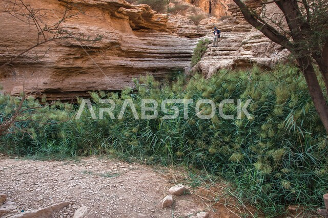 Famous ancient historical archaeological sites in Saudi Arabia, the main pool in Wadi Shuaib in Loha, a natural permanent freshwater pool, rocks, terrain, formations and rock formations in the desert of Riyadh, green wild plants in the desert nature