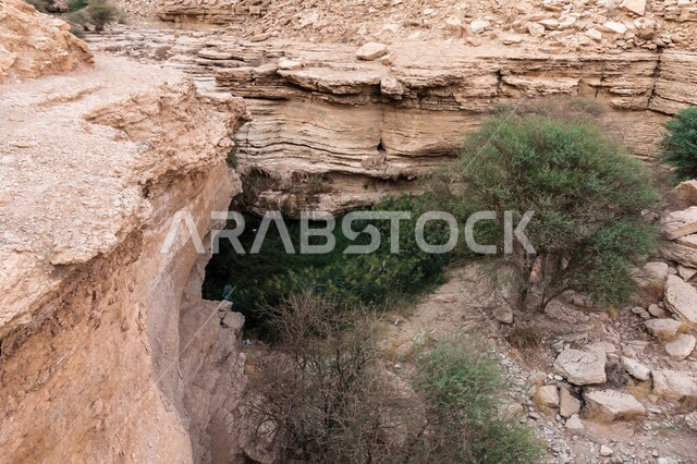 الصخور والتضاريس و التشكيلات والتكوينات الصخرية في صحراء مدينة الرياض، المناطق الاثرية التاريخية القديمة المشهورة في السعودية، المسبح الرئيسي في  وادي شعيب في لوها ,بركة مياه عذبة دائمة طبيعية ,النباتات البرية الخضراء في الطبيعة الصحراوية