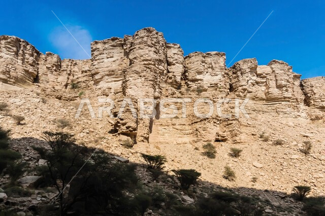 التكوينات والتشكيلات الصخرية، مناطق اثرية تاريخية قديمة مشهورة في المملكة العربية السعودية، النباتات البرية الخضراء في الطبيعة الصحراوية، التضاريس والنحت الصخري في وادي شعيب ، الجبال الرسوبية الطبيعية