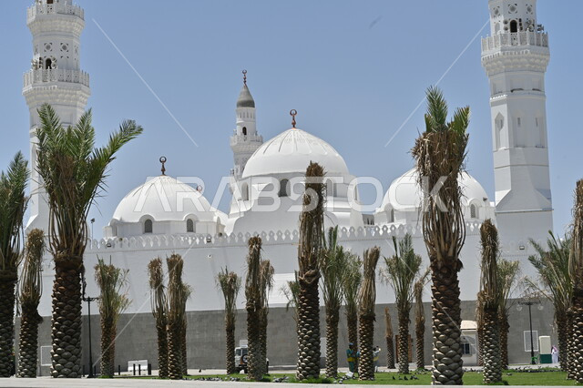 الاهتمام في زراعة أشجار النخيل، العبادة والتقرب إلى الله، مآذن و قبب مسجد قباء في المدينة المنورة في وقت النهار، معالم و أماكن دينية مقدسة في المملكة العربية السعودية، الفن الهندسي المعماري والديكورات الاسلامية على الطراز الحديث