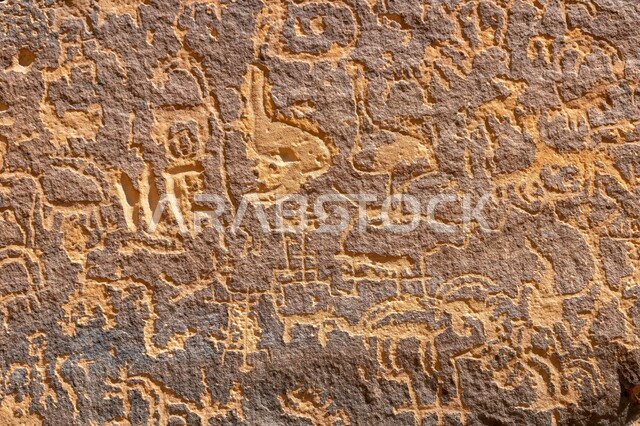 نقوش أثرية تعود لعصور قديمة في قرية الأصبع في الرياض، الرسوم الصخرية للملكة فيكتوريا، آثار المملكة العربية السعودية، الحفاظ على ثقافة وتاريخ الأجداد، الأحافير والمنحوتات التاريخية