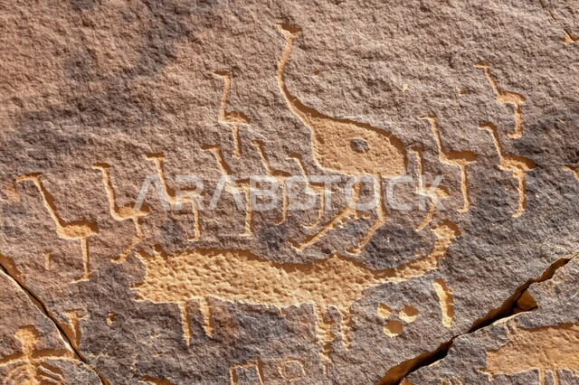 الحفاظ على ثقافة وتاريخ الأجداد، آثار المملكة العربية السعودية، رسوم صخرية فنية تصور حيوان الذئب والنعامة، نقوش أثرية تعود لعصور قديمة في قرية الأصبع في الرياض، الأحافير والمنحوتات التاريخية