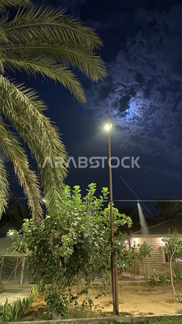 الاهتمام بزراعة الأعشاب والأشجار والنباتات الخضراء، المناظر الطبيعية في وقت الليل في المملكة العربية السعودية، منتزهات ومناطق سياحية مشهورة في العاصمة، الحدائق والمزارع العائلية ترفيهية في الرياض