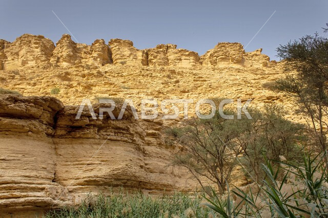 جرف صخري وتضاريس في وادي شعيب في لوها،  التشكيلات والتكوينات الصخرية في صحراء مدينة الرياض، المناطق الاثرية التاريخية القديمة المشهورة في المملكة العربية السعودية، النباتات البرية الخضراء في الطبيعة الصحراوية