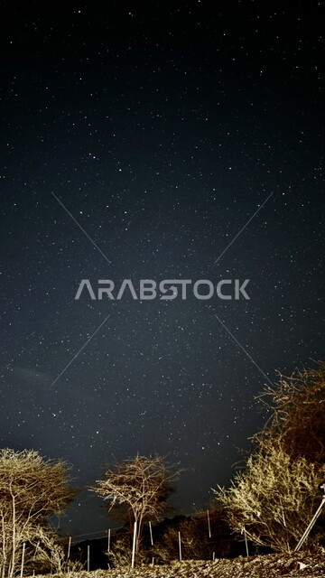 الاستمتاع بالأجواء الليلية الهادئة, مشهد النجوم المتلألئة في السماء ليلا, المناظر الطبيعية والأشجار الخضراء في المملكة العربية السعودية, الأماكن والمناطق الترفيهية في وقت الليل