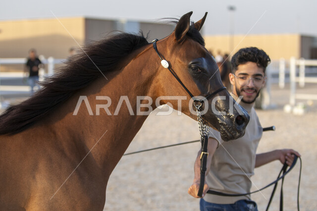 مراكز للاهتمام في إنتاج الخيول وتحسين صفاتها، توافد الزوار والمهتمين لحضور مسابقات ومهرجانات الخيول، جهات مختصة بتأمين ورعاية الاحصنة في مدينة الرياض، مدربين الجياد في مركز الملك عبد العزيز للخيل العربية الاصيلة في منطقة ديراب