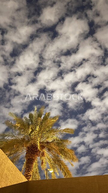 منظر الغيوم البيضاء في سماء العاصمة، الاهتمام بزراعة أشجار النخيل والنباتات الخضراء، المناظر الطبيعية في وقت الليل في المملكة العربية السعودية، الحدائق والمزارع العائلية ترفيهية في الرياض