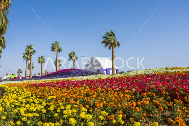 التنمية المستدامة والحفاظ على البيئة، التصاميم والديكورات في حديقة المناسبات بمدينة ينبع الصناعية، سجادة الأزهار الملونة في مهرجان الورود والحدائق، وجهه عائلية بيئية ثقافية وترفيهية، معارض ومهرجانات طبيعية سياحية في المملكة العربية السعودية