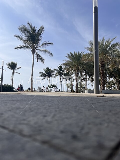 كورنيش الحمراء و الواجهة البحرية في مدينة جدة في المملكة العربية السعودية, معالم و مناطق سياحية مشهورة، المناظر الطبيعيه و الأشجار والأماكن الترفيهية, الاطلالة الساحلية للبحر الاحمر