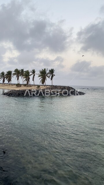  الواجهة البحرية في مدينة جدة في المملكة العربية السعودية، المناظر الطبيعية في الكورنيش على ساحل البحر الاحمر، المنطقة الساحلية في جده الجديده في النهار, زراعة أشجار النخيل في المدن السياحية, معالم وأماكن سياحية مشهورة