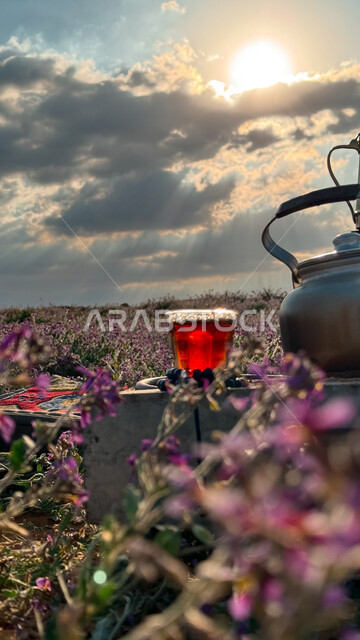 منظر السماء المليئة بالمليئة بالغيوم، متعة احتساء المشروبات الساخنة في الكشتات البرية العربية الشعبية، ، صورة مقربة لإبريق وكأس من الشاي ، كرم الضيافه وحسن الاستقبال، أجواء التخييم في البراري المليئة بأزهار الربيع في المملكة العربية السعودية