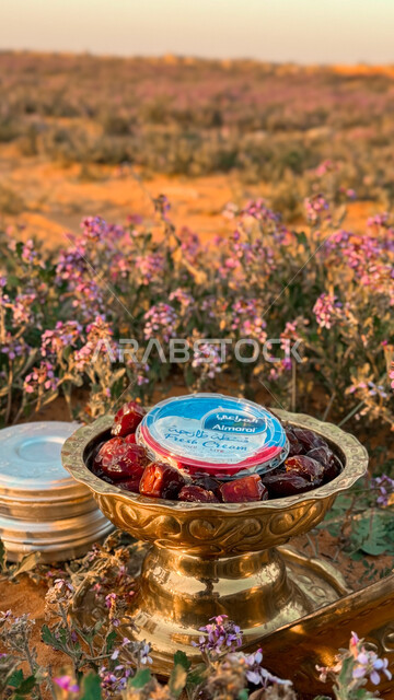 طبق من التمر مع علبة القشطه الطازجه بين الزهور، الكشتات البرية العربية الشعبية، أجواء التخييم في البراري المليئة بأزهار الربيع في المملكة العربية السعودية، والتنزه والترفيه واستشاق الهواء الطلق في الطبيعه