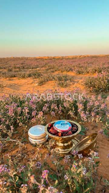 The popular Arab wild kashtat, a plate of dates with a box of fresh cream among the flowers, the atmosphere of camping in the prairies full of spring flowers in the Kingdom of Saudi Arabia, and hiking, entertainment, and breathing the outdoors in nature.