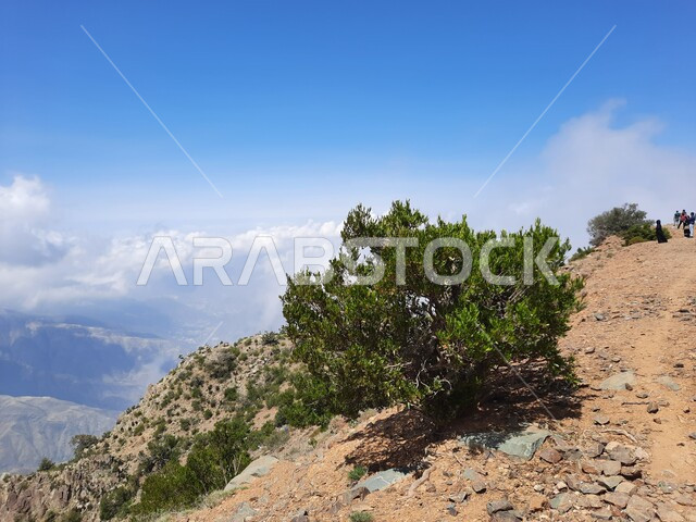 نمو الأعشاب البرية والنباتات الخضراء في القمم والمرتفعات، منظر الغيوم البيضاء في اجواء فصل الصيف في عسير، التشكيلات والتكوينات الجبلية الصخرية في مدينة ابها في المملكة العربية السعودية، مدن وأماكن سياحية طبيعية