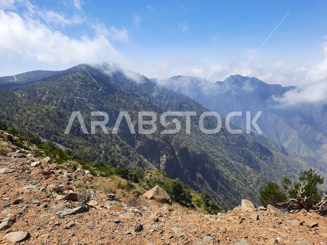 نمو الأعشاب البرية والنباتات الخضراء في القمم والمرتفعات، منظر الغيوم البيضاء في اجواء فصل الصيف في عسير، التشكيلات والتكوينات الجبلية الصخرية في مدينة ابها في المملكة العربية السعودية، مدن وأماكن سياحية طبيعية