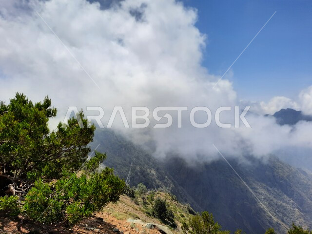 The growth of wild herbs and green plants in the peaks and highlands, the view of white clouds in the summer atmosphere in Asir, the rocky mountain formations and formations in the city of Abha in the Kingdom of Saudi Arabia, cities and natural tourist places.