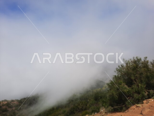 الأجواء الضبابية والغيوم الكثيفة في سماء عسير، التكوينات والتشكيلات الجبلية الصخرية في مدينة ابها، مدن وأماكن سياحية طبيعية في المملكة العربية السعودية، نمو الأعشاب البرية والنباتات الخضراء في القمم والمرتفعات