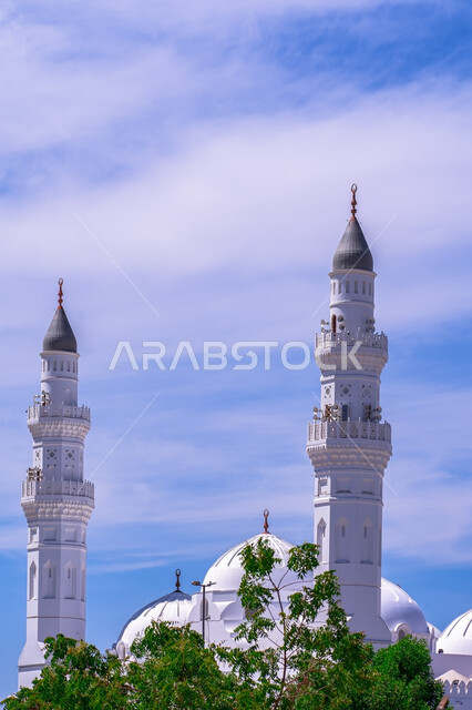 الفن الهندسي المعماري المتميز والديكورات الاسلامية على الطراز الحديث للمساجد والجوامع، العبادة والتقرب إلى الله، المآذن والقبب لمسجد بين الأشجار الخضراء في وقت النهار، معالم و أماكن دينية مقدسة في المملكة العربية السعودية