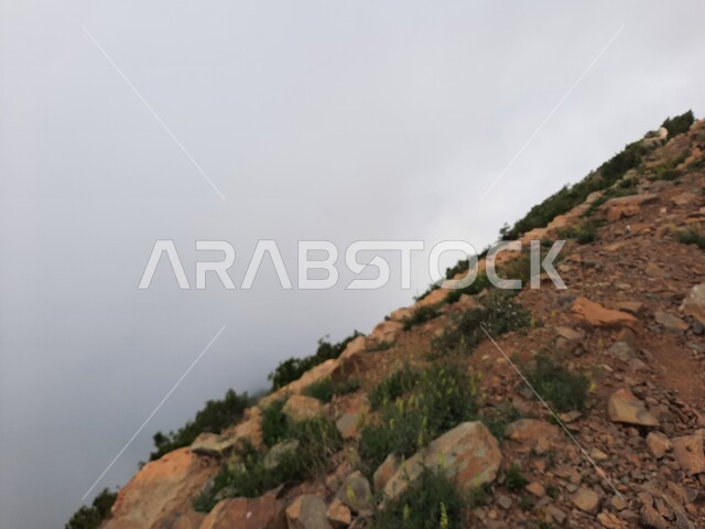 نمو الأعشاب البرية والنباتات الخضراء في القمم والمرتفعات، السحب والغيوم البيضاء في سماء عسير، التكوينات والتشكيلات الجبلية الصخرية في مدينة ابها، مدن وأماكن سياحية طبيعية في المملكة العربية السعودية