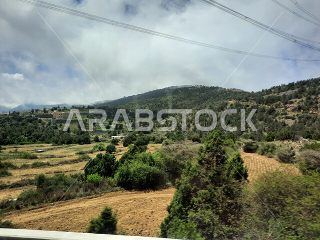  الحقول والواحات الزراعية والنباتات الخضراء في جبال عسير، منظر السحب والغيوم البيضاء في السماء، القمم والمرتفعات الجبلية في مدينة ابها، مدن وأماكن سياحية طبيعية في المملكة العربية السعودية