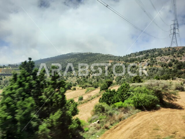  الحقول والواحات الزراعية والنباتات الخضراء في جبال عسير، منظر السحب والغيوم البيضاء في السماء، القمم والمرتفعات الجبلية في مدينة ابها، مدن وأماكن سياحية طبيعية في المملكة العربية السعودية