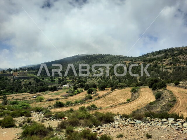  الحقول والواحات الزراعية والنباتات الخضراء في جبال عسير، منظر السحب والغيوم البيضاء في السماء، القمم والمرتفعات الجبلية في مدينة ابها، مدن وأماكن سياحية طبيعية في المملكة العربية السعودية