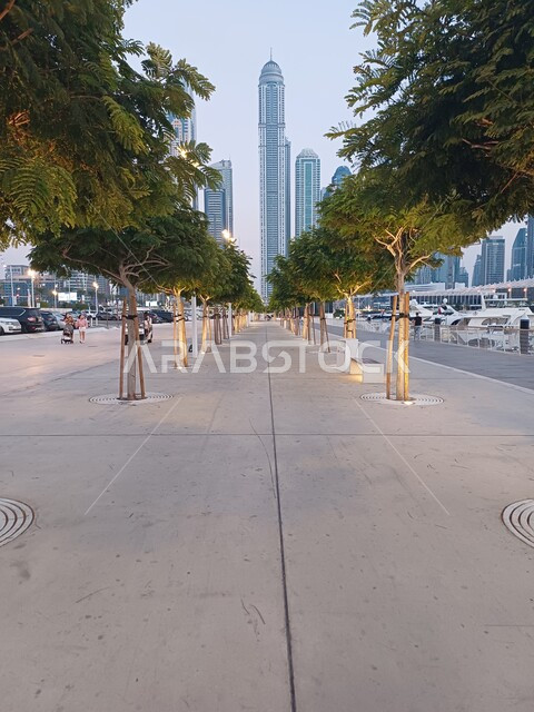 الهندسة الفنية المعمارية على الطراز الحديث للمباني وناطحات السحاب, الأبراج المطلة على مرسى اليخوت في مارينا دبي على ساحل الخليج العربي, معالم سياحية مشهورة وقت النهار, الإهتمام بتشجير الأشجار والنباتات الخضراء في الامارات العربية المتحدة