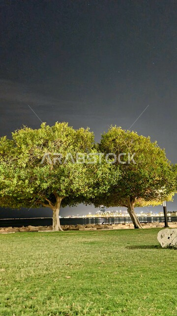 الاهتمام بالأشجار والنباتات الطبيعية الخضراء ، الحدائق العامة والطبيعة بالقرب من شاطئ البحر في منطقة الدمام وقت الليل، المناطق والأماكن السياحية الترفيهية المشهورة في المملكة العربية السعودية