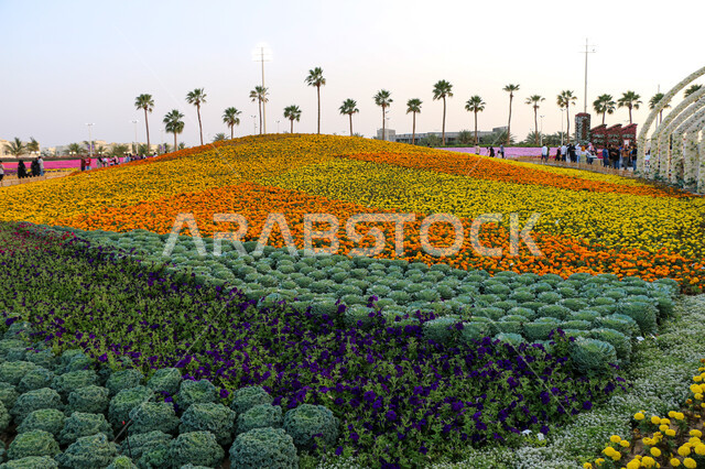 الحفاظ على البيئة والتنمية المستدامة، مهرجانات و معارض طبيعية سياحية في المملكة العربية السعودية، وجهه عائلية بيئية ثقافية وترفيهية، سجادة الأزهار الملونة في مهرجان الورود والحدائق، الديكورات والتصاميم في حديقة المناسبات بمدينة ينبع الصناعية