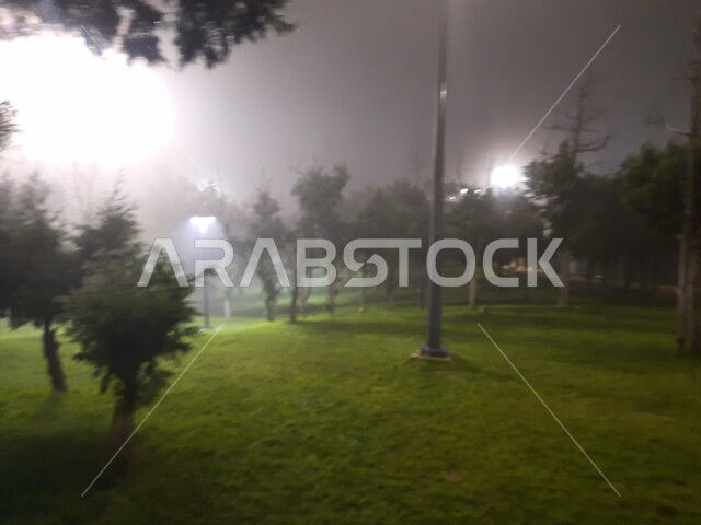 هطول الأمطار فوق منتزه غابة رغدان في مدينة الباحة، الاهتمام بإنارة إضاءة الحدائق العامة، التشجير وزراعة النباتات الخضراء في مدن المملكة العربية السعودية، أماكن طبيعية عائلية ترفيهية، قضاء وقت ممتع في الطبيعة والأجواء الشتوية