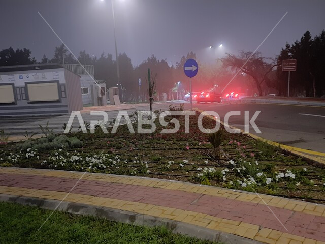 هطول الأمطار فوق منتزه غابة رغدان في مدينة الباحة، الاهتمام بإنارة إضاءة الحدائق العامة، التشجير وزراعة النباتات الخضراء في مدن المملكة العربية السعودية، أماكن طبيعية عائلية ترفيهية، قضاء وقت ممتع في الطبيعة والأجواء الشتوية