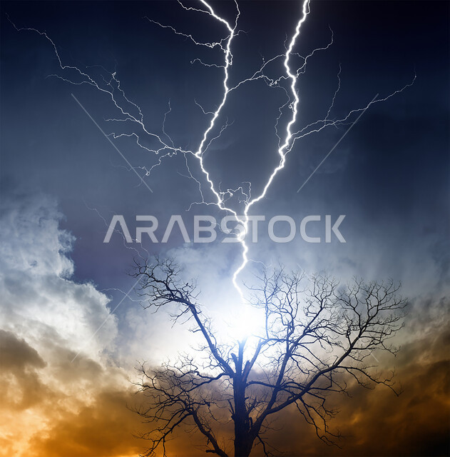 Winter weather in Dubai and Abu Dhabi, natural disasters and phenomena, a thunderstorm hitting a tree in the United Arab Emirates, a view of thunder and lightning in the sky