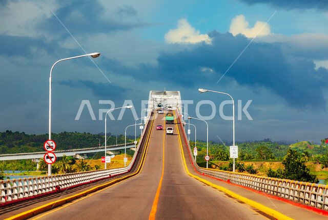 حركة المرور في الشوارع والطرقات في النهار، الاهتمام بزراعة أشجار النخيل والنباتات الخضراء في المدن السياحية في الإمارات العربية المتحدة، النقل و المواصلات في مدينة دبي وأبو ظبي