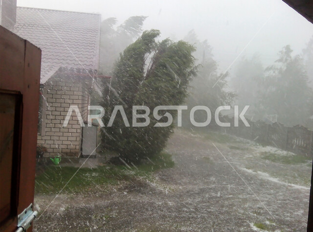 الشوارع مغمورة بالمياه، أجواء شتوية ماطرة، الفيضانات الهائلة في الإمارات العربية المتحدة، التغير المفاجئ بالمناخ، الاهتمام بزراعة النباتات الخضراء وأشجار النخيل في المدن