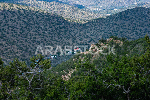 الأشجار والنباتات الخضراء والمروج الخصبة، منظر الغيوم في السماء, التكوينات والتشكيلات الصخرية، جبال الدقة في مدينة الطائف غرب المملكة العربية السعودية، الهضاب والمرتفعات الجبلية، المناظر الطبيعية المتميزة